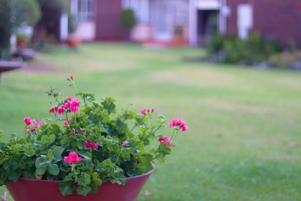 Kensington Gardens Flower Foundation > Gallery